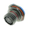 AMPHENOL LTD D38999/24FJ35HA-LC