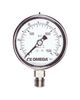 OMEGA PGM-100L-30PSI/2BAR