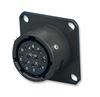 AMPHENOL LTD 62GB-12E18-32SN