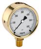 NOSHOK 25-300-2000-PSI