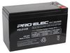 PRO ELEC PEL01436