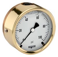 NOSHOK 25-310-30/300-PSI
